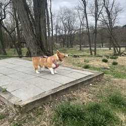 Anson B Nixon Park