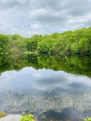 NATURE CONSERVANCY - DEVIL’S DEN PRESERVE - Updated October 2025 - 67 ...