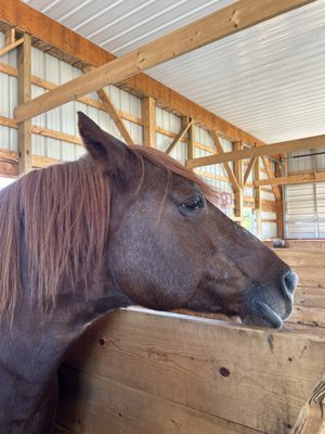 Rulfs Orchard by null