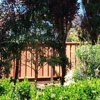 Finesse Fence - 16 feet of a 130 foot fence - Fences & Gates Near Me