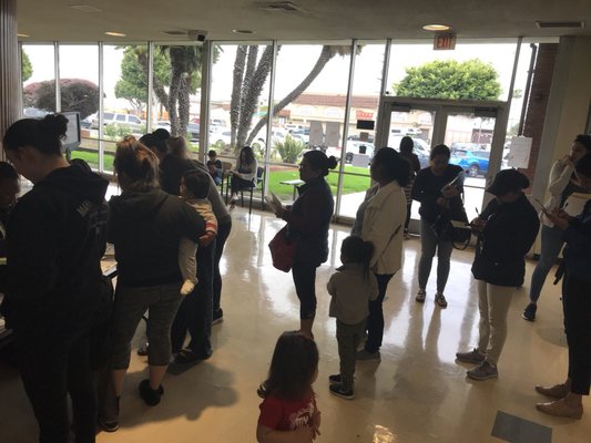 Hawthorne Pool by null