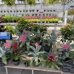 Ferguson's Garden Center