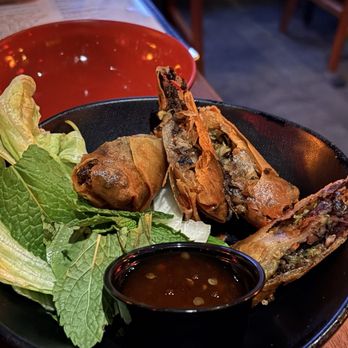 Hanzo - spring rolls - Sushi Bars Near Me - San Antonio, Texas