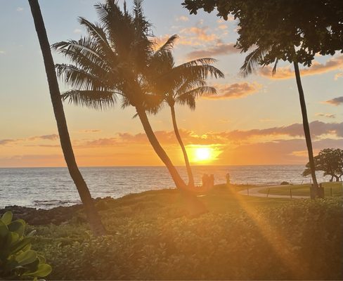 Te Au Moana by null