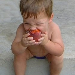 Caskey Orchard Peaches