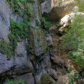 Garland Ranch Regional Park - No waterfall this trip but lush greenery - Hiking Near Me - Carmel Valley, California Garland Ranch Regional Park - No waterfall this trip but lush greenery - Hiking Near Me - Carmel Valley, California