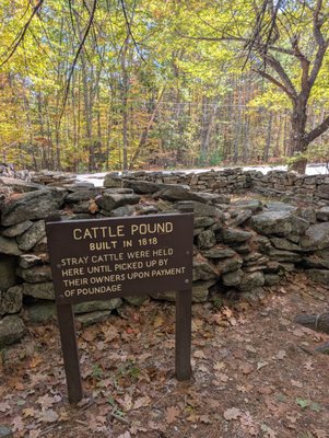 Bradbury Mountain State Park by null