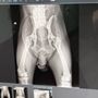 Photo of Nature Coast Animal Wellness & Surgical Center