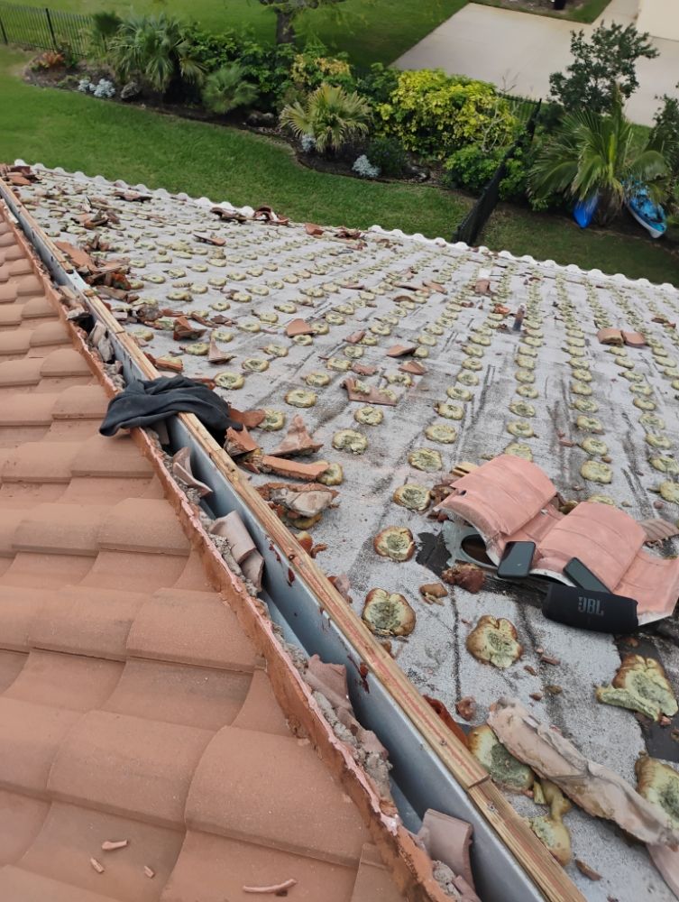 Slide of DLM Investment of Florida