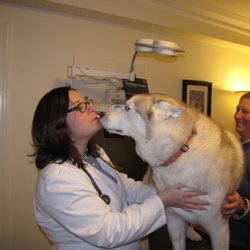 North County Veterinary Hospital