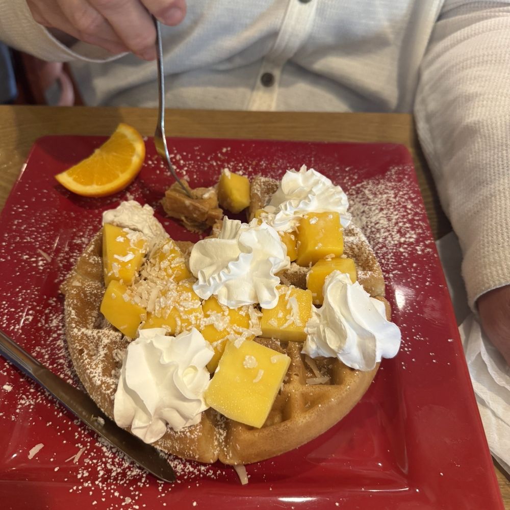 Toasted Mango Cafe - Mango waffle - Cafes Near Me - Sarasota, Florida Toasted Mango Cafe - Mango waffle - Cafes Near Me - Sarasota, Florida