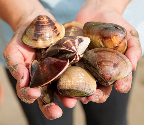 Swallow Tail Culinary Tours by null