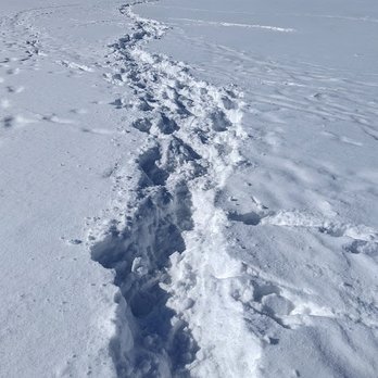 Thompson Road Park - Walking path trough the baseball field. - Parks Near Me - Clarence, New York