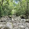 Kalauao Trail gift card