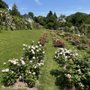 Photo of Rosenneuheitengarten