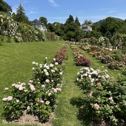Rosenneuheitengarten