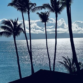Jamie Wilkinson-RE/MAX Premier Realty - Licensed in California and Hawaii. - Real Estate Agents Near Me - Irvine, California Jamie Wilkinson-RE/MAX Premier Realty - Licensed in California and Hawaii. - Real Estate Agents Near Me - Irvine, California
