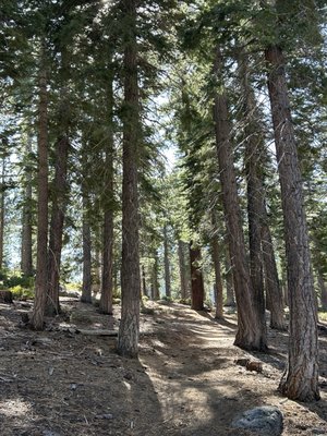 Cedar Glen Lodge by null