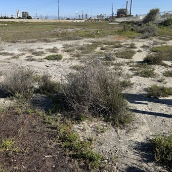 Los Cerritos Wetlands - Bird habitat - Kids Activities Near Me