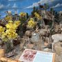 Photo of Cabela's