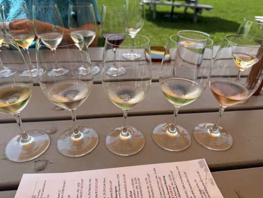 Sheldrake Point Winery by null