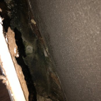 Wells Custom Floors & More - a hole in the wall - Tiling Near Me Wells Custom Floors & More - a hole in the wall - Tiling Near Me