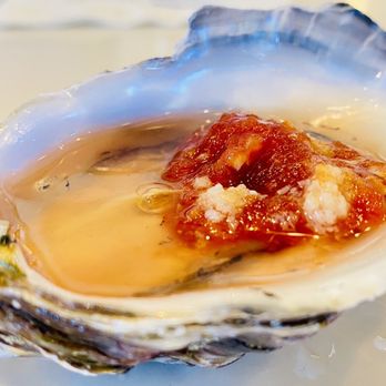 Bluewater Grill Seafood Restaurant & Market Carlsbad - Oysters on the Half Shell* - Seafood Near Me - Carlsbad, California