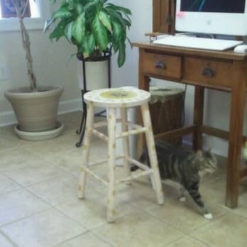 Natural Pet Care - Veterinarians Near Me - Metairie, Louisiana Natural Pet Care - Veterinarians Near Me - Metairie, Louisiana