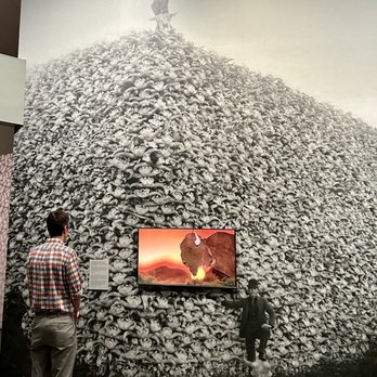 Denver Art Museum - The buffalo story - video display on a wall of millions of bison skulls - Art Galleries Near Me - Denver, Colorado