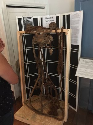 The Cryptozoology & Paranormal Museum by null