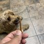 Photo of Animal Emergency & Referral Center of Minnesota