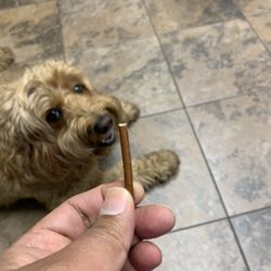 Animal Emergency & Referral Center of Minnesota