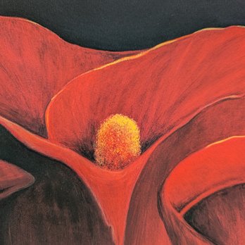 Seaside Garden Studio & Gallery - A close up of Matt's Calla Lily. - Art Galleries Near Me - Cocoa, Florida Seaside Garden Studio & Gallery - A close up of Matt's Calla Lily. - Art Galleries Near Me - Cocoa, Florida