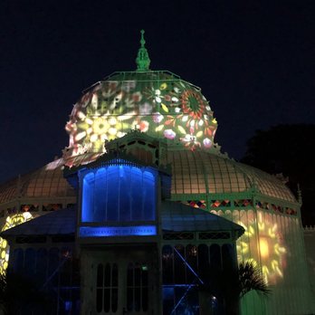 Entwined Lighted Forest - Also check out outside lights at Conservatory of Flowers - Public Art Near Me - San Francisco, California Entwined Lighted Forest - Also check out outside lights at Conservatory of Flowers - Public Art Near Me - San Francisco, California