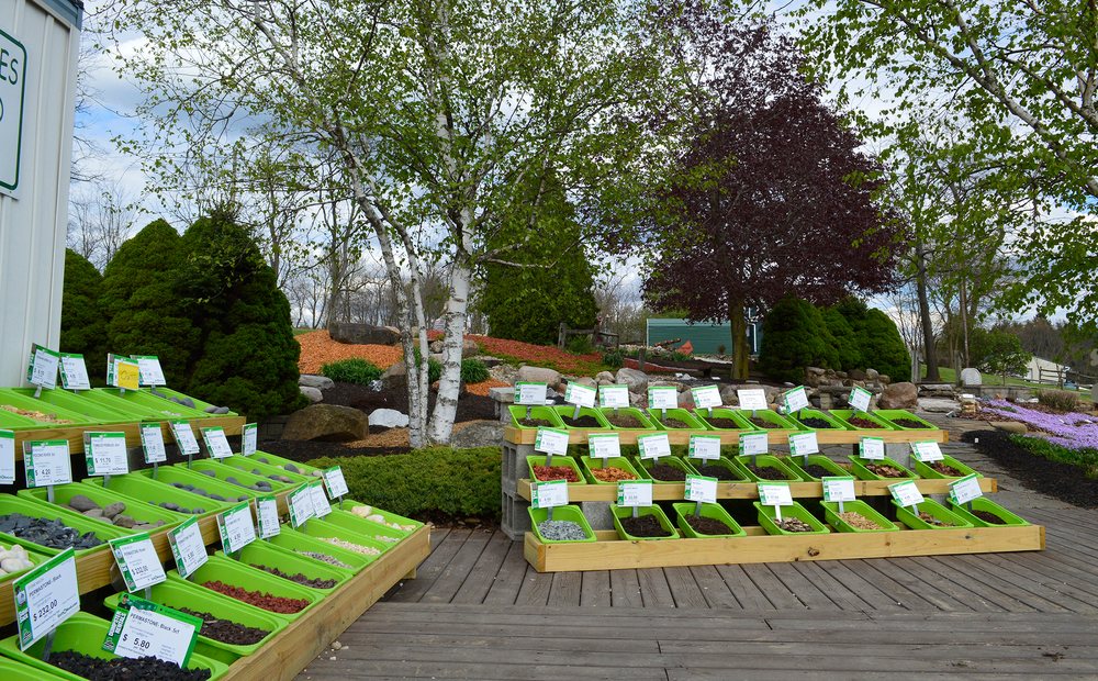 EARTH’N WOOD PRODUCTS Updated August 2024 10 Reviews 5335