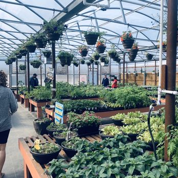 MidValley Greenhouse - Flowers & Gifts Near Me - Wasilla, Alaska MidValley Greenhouse - Flowers & Gifts Near Me - Wasilla, Alaska