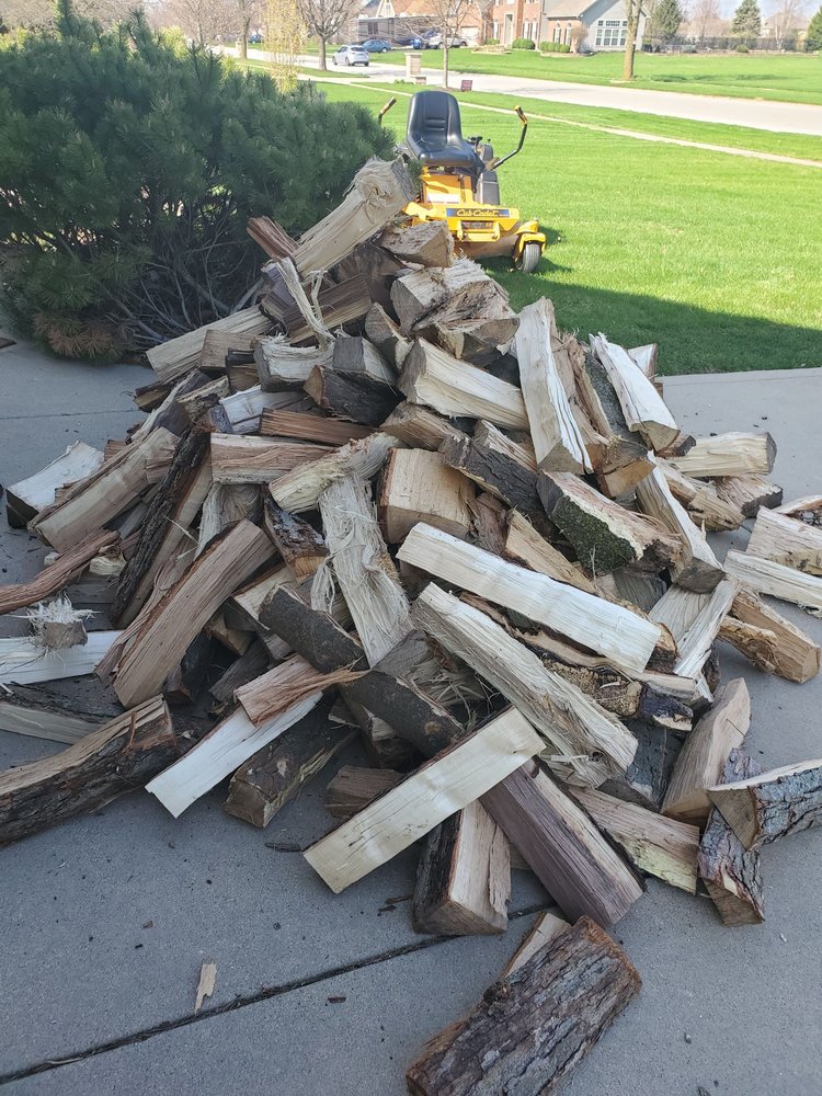 ANDERSON TREE FARM Updated October 2024 17 Reviews 508 W Rte 126