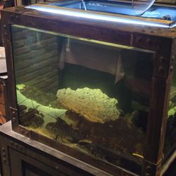 Pier 51 - Lobster Tank