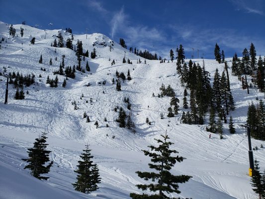 Palisades Tahoe by null