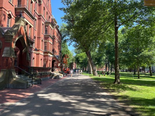 Harvard University by null