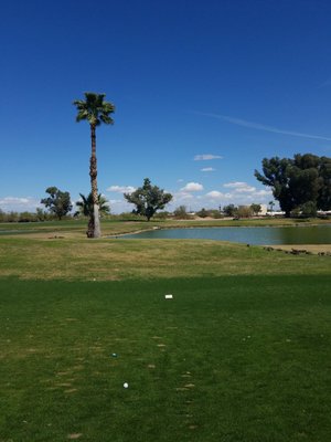 Peoria Pines Golf & Restaurant by null