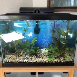 YREKA IMMEDIATE CARE CLINIC 11 Photos 534 N Main St, Yreka