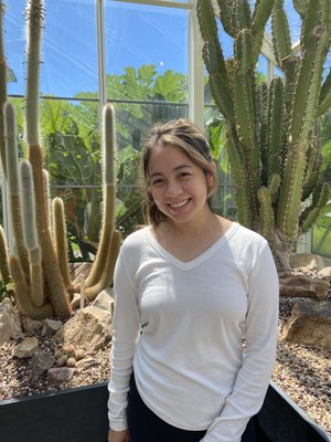 Volunteer Park Conservatory by null