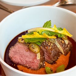 IGNIV - Beef - Lemon balm - Sunflower