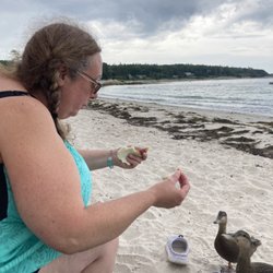 MacKeigans Guest Home - Feeding the ducks