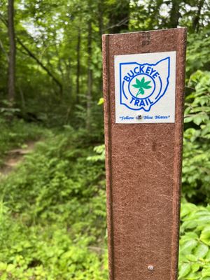 Caesar Creek State Park by null