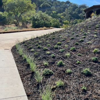 Premium Landscape Construction  - Drip System - Landscaping Near Me