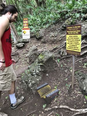 Kuli'ou'ou Valley Trail by null