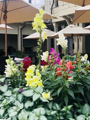 Sea Pines Beach Club by null