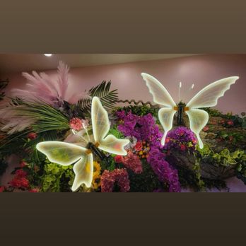 Cafe Carrusel - Mexican Near Me - Santa Rosa, California Cafe Carrusel - Mexican Near Me - Santa Rosa, California